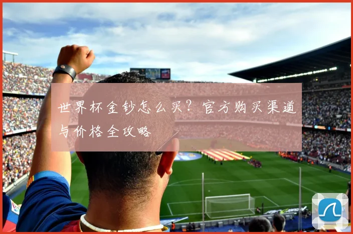 世界杯金钞怎么买？官方购买渠道与价格全攻略