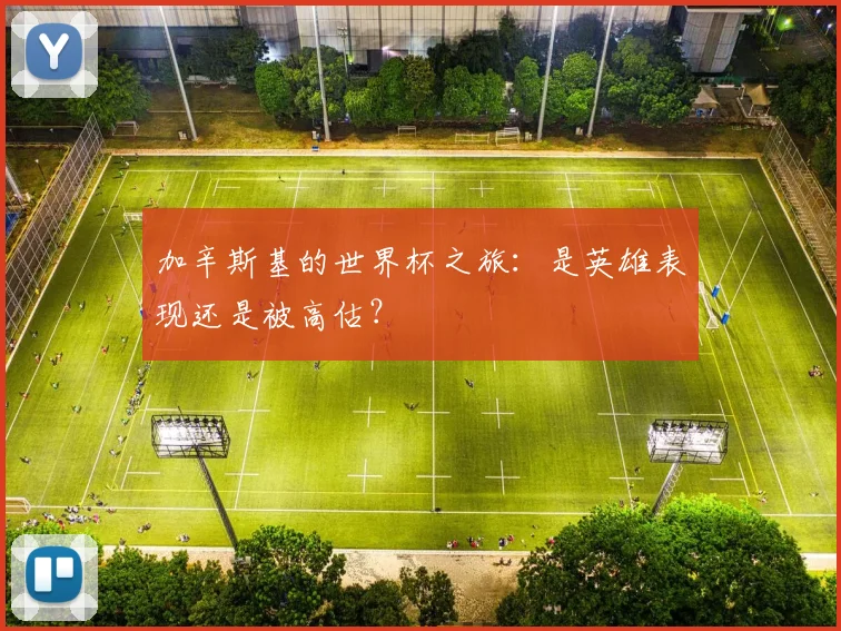 加辛斯基的世界杯之旅：是英雄表现还是被高估？