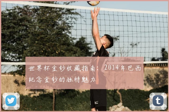 世界杯金钞收藏指南：2014年巴西纪念金钞的独特魅力