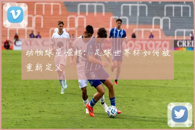 动物球星崛起：足球世界杯如何被重新定义