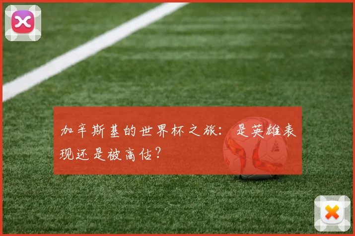 加辛斯基的世界杯之旅：是英雄表现还是被高估？