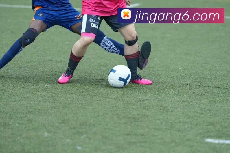 9游会j9官方平台APP 封面图